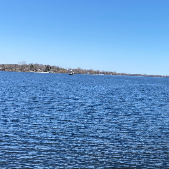 Meet your Posher, George - Picture 1 of 1